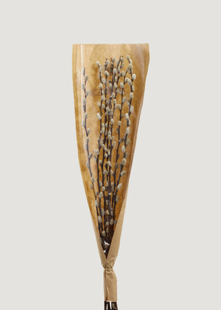 Natural Dried Pussy Willow Branch Bundle - 29.5"